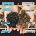 thumbnail image 4 of Rosy Soil Indoor Potting Soil Mix for Houseplants, Organic Peat Free Plant Soil with Biochar, Root Boosting Living Soil for Indoor Plants, 4 qt, 4 of 10