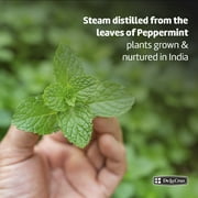 De La Cruz Peppermint Oil Fragrance Essential Oils for Aromatherapy Diffuser and Humidifiers 100% Pure 2 fl oz