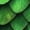 01-Green, variant on Novelty Short Sleeve T Shirts for Men Crewneck Shirt Funny Fashion Fish Scale Tees Casual Printed Tops 05-Orange L