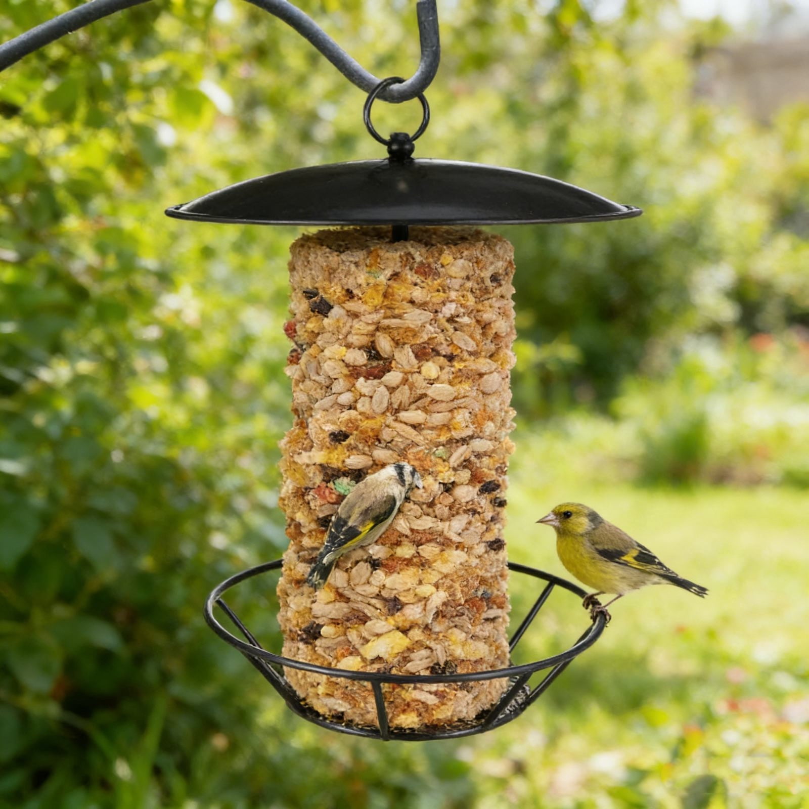 WKSCLPAI Wrought Iron Bird Feeder Hanging Outdoor Squirrel-proof with Seed Cake Holder for Backyard Garden Heavy Duty Rust Proof Metal Water-proof Wild Bird Feeding Station