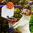 thumbnail image 5 of Mini Pelotas de Baloncesto Inflables 7 Pulgadas 3 Paquetes Sincero, 5 of 5