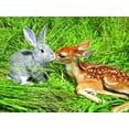 thumbnail image 2 of Animal Attraction 550 Piece Puzzle,  Deer by Luv-It Puzzles, 2 of 2
