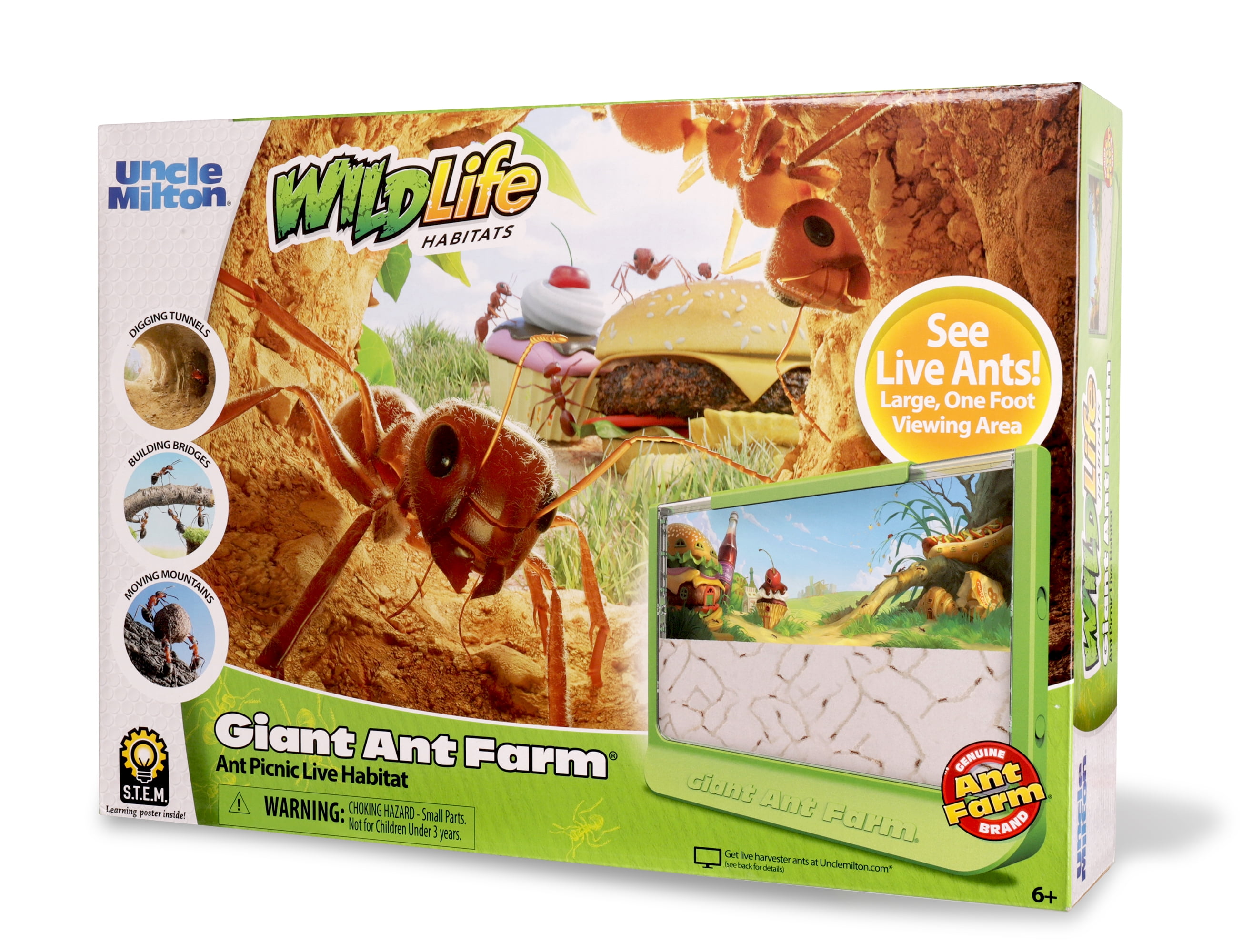 toy ant farm