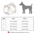 thumbnail image 2 of Beirui Reflective No Pull Dog Harness Soft Padded Adjustable Training Vest With Handle & 2 Leash Clips, 2 of 8