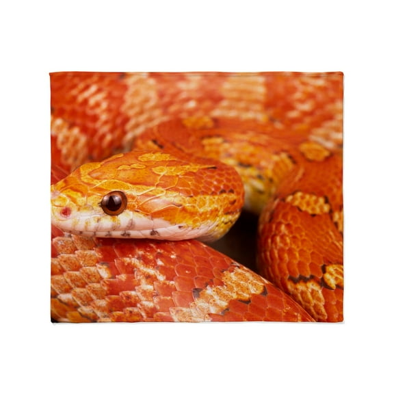 CafePress - Corn Snake Throw Blanket - Soft Fleece Throw Blanket, 50"x60" for All Ages