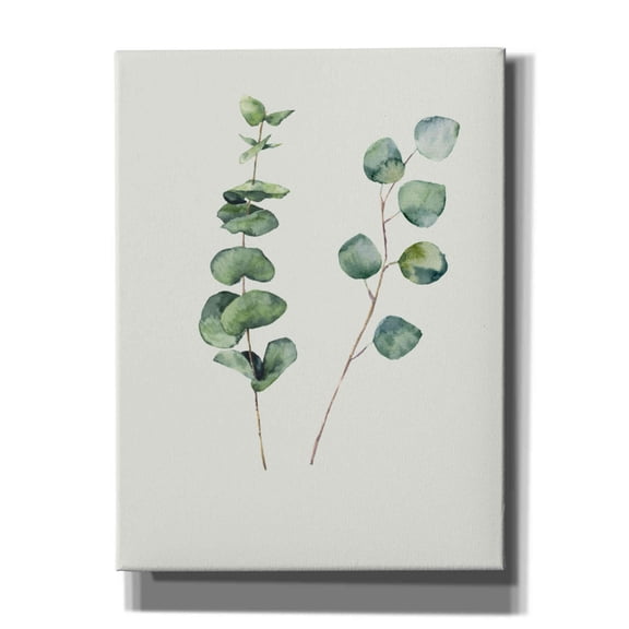 Epic Graffiti 'Botanical I' by Incado, Giclee Canvas Wall Art, 12"x16"