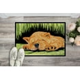 thumbnail image 2 of Caroline's Treasures SS8526MAT Paillasson Intérieur Extérieur Chow Chow 18 x 27 Po, 2 of 4