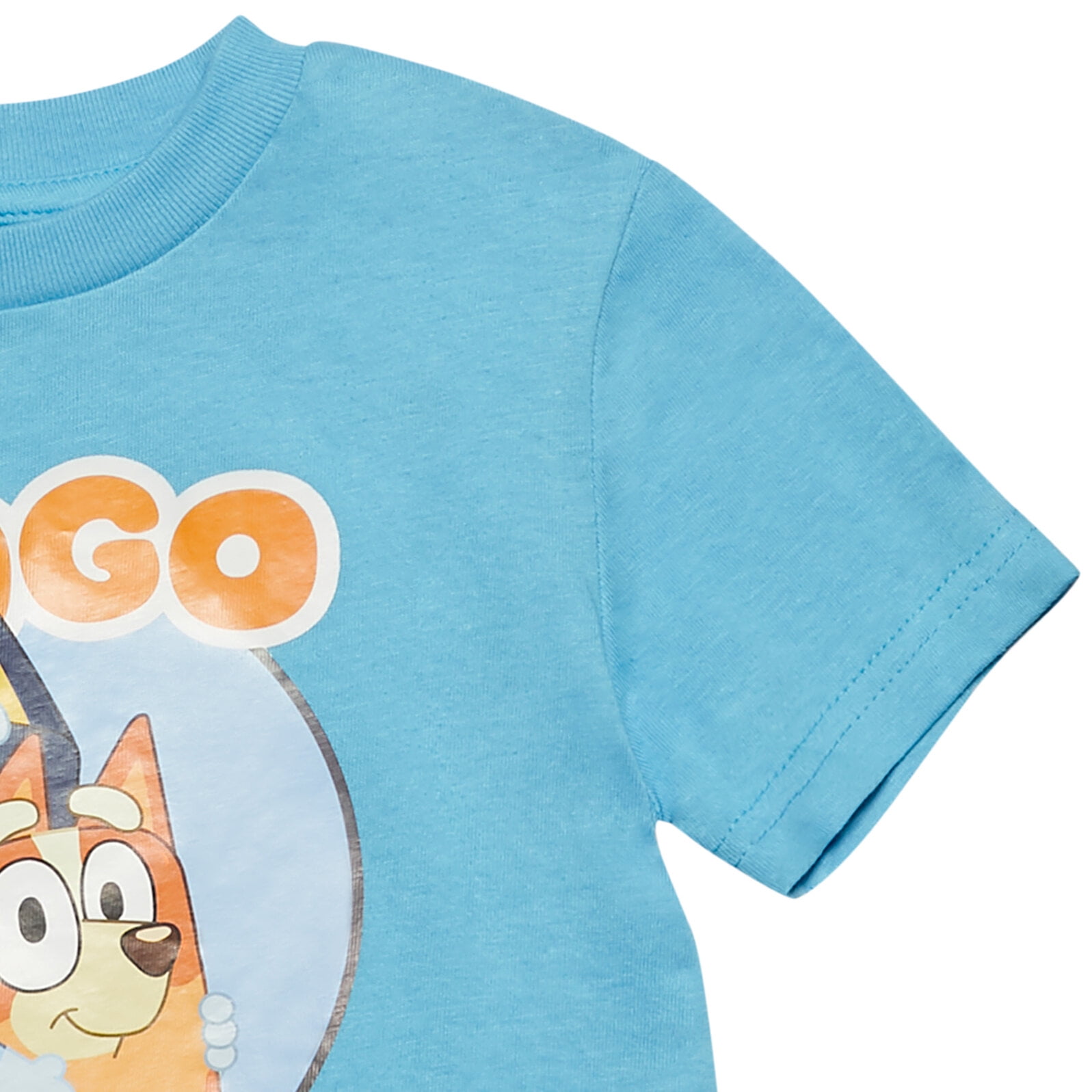 Bluey Big Boys Pullover T-Shirt Toddler to Big Kid 