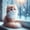 4120, variant on Diamond Painting Majestic Winter Cat Rhinestone Canvas 5D DIY Diamond Embroidery Kits Artful Craft Rhinestone Art35*35cm, frame not included.,4119