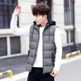 thumbnail image 1 of Chaleco para hombre, otoño e invierno, grueso, moderno, personalizado, estilo coreano, chaleco cálido, chaleco, chaqueta de plumas, chaqueta informal, 1 of 5