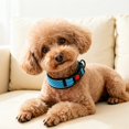 thumbnail image 3 of ZZHZGZ on Sale Collar for and Cats with Quick Release Buckle Reflective Strip Comfort Fit Adjustable Training for Medium Large Small Breeds, 3 of 5