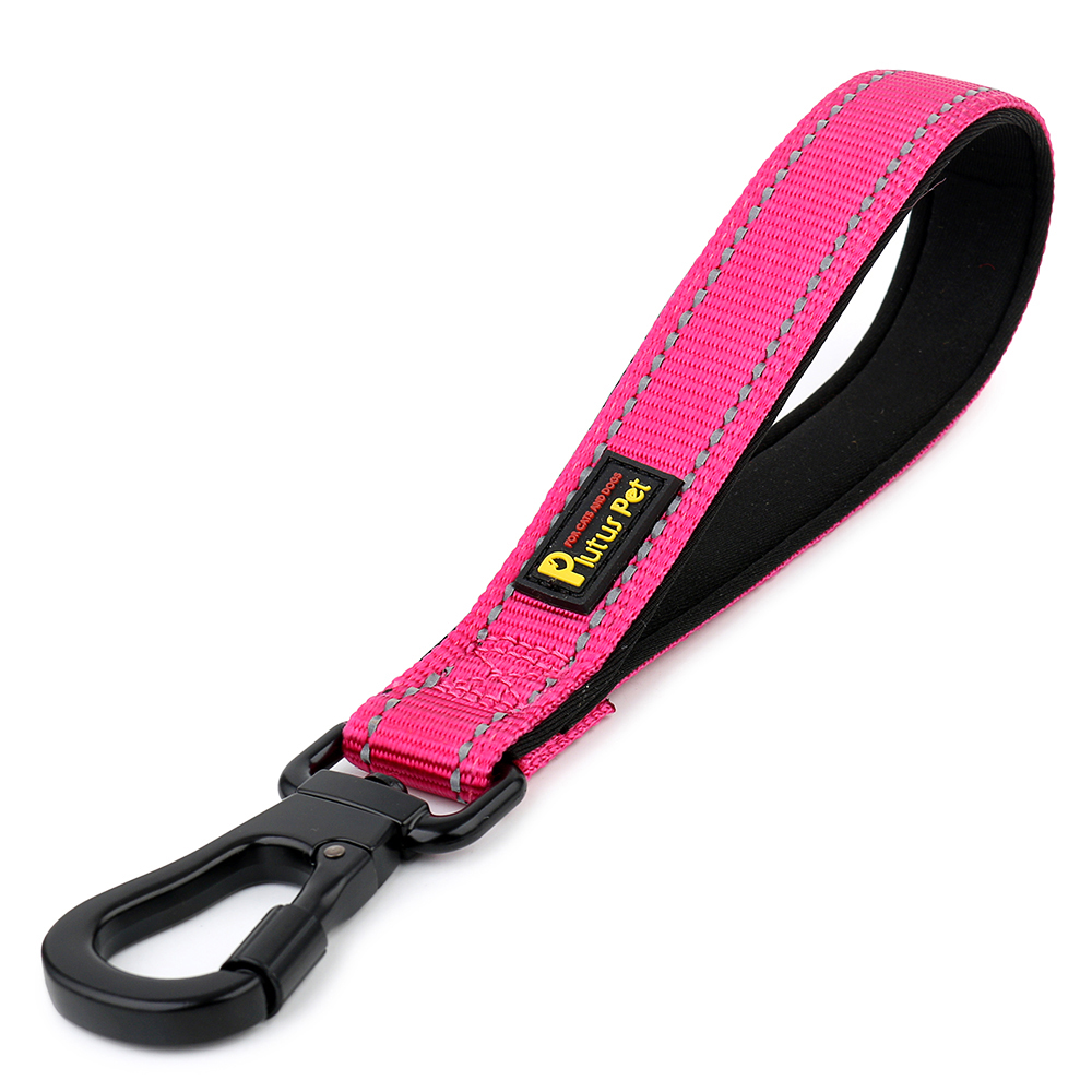 PetSafe Happy Ride Dog Zipline, Back Seat Leash, Great for Travel