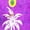 VIOLET, PALM TREE, variant on HAPPY BAY Women's Beachwear Sarong Bikini Skirt Swimwear Swim Cover up Summer Wraps Swimsuit Beach Wrap Coverups for Women One Size Violet, Palm Tree