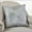 Silver, variant on Fennco Styles 20-inch Shimmering Starburst Down Filled Throw Pillow, 4 Colors (Silver)
