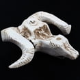 thumbnail image 4 of Yin Yang Attrape-Rêves Filet Circulaire avec Plumes Perles & Tête de Mouton en Résine Skull Tête Murale Animal 3D Longhorn, 4 of 8