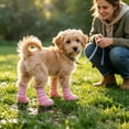 thumbnail image 6 of CSStudio 4 Pack Non Slip Dog Socks with Adjustable Straps, Waterproof Rubber Bottom Pet Paw Protector Booties, Anti Licking Traction Shoes for Indoor Floor & Light Outdoor Walks, 6 of 6