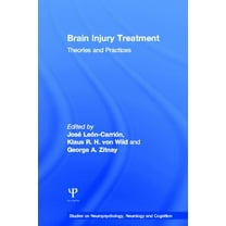 Studies on Neuropsychology, Neurology an Brain Injury Treatment: Theories and Practices, (Hardcover)