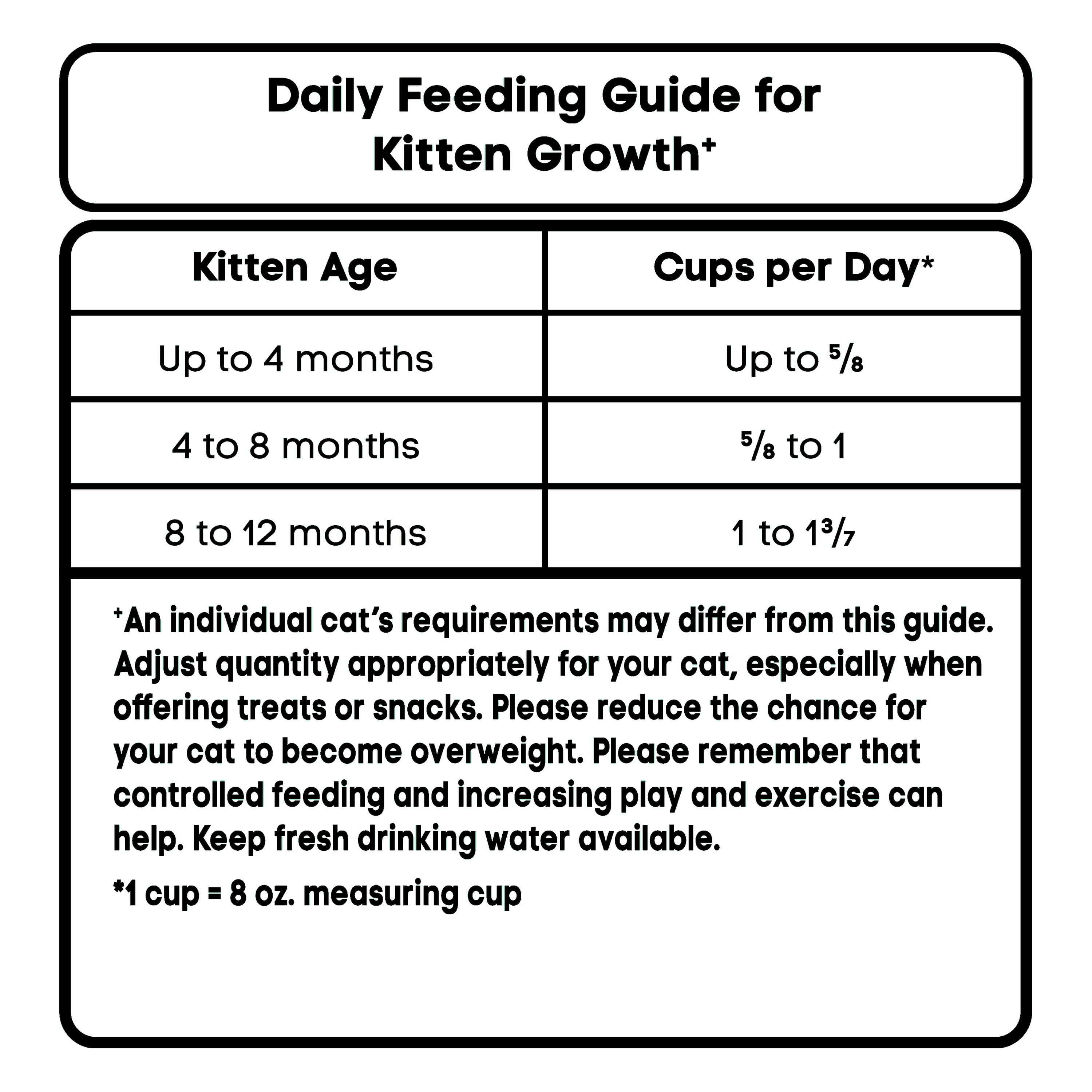 Feeding Schedule Cat Food For Month Old Kitten Feeding Schedule