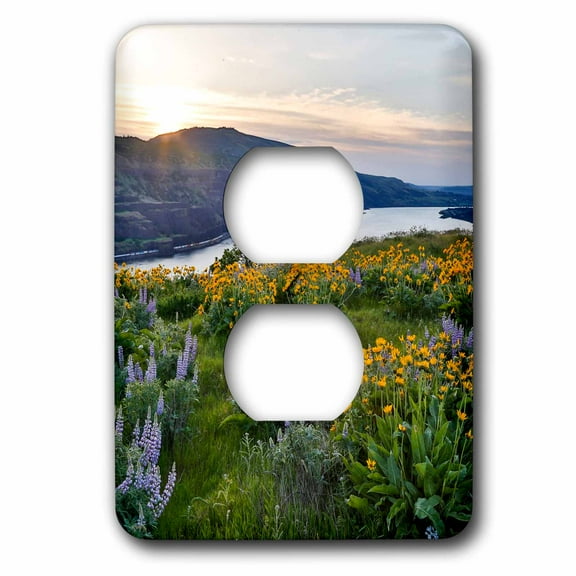 3dRose, Fields of Balsamroot and Lupine above Columbia River, Rowena, Oregon, 2 plug outlet cover