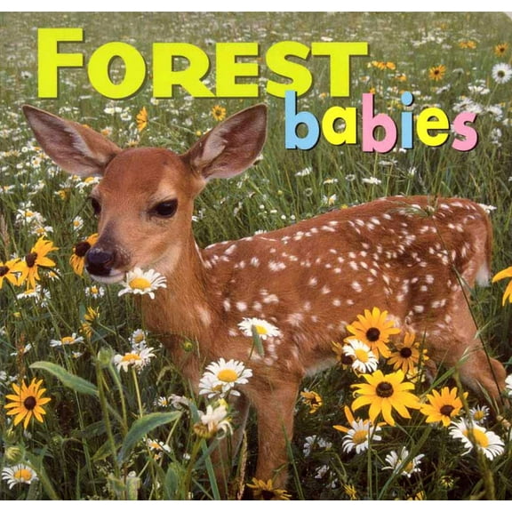 Animal Babies: Forest Babies (Board book)