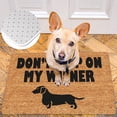 thumbnail image 4 of HomeDM Funny Doormat Personalized Doormats Indoor Outdoor Entrance Floor Mat Home Welcome Front Door Mat Non Slip Rubber Backing Christmas Decorations Floor Mat, 4 of 8