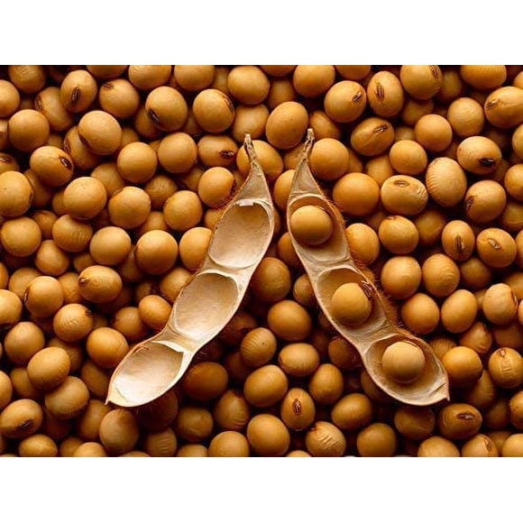 Soybeans