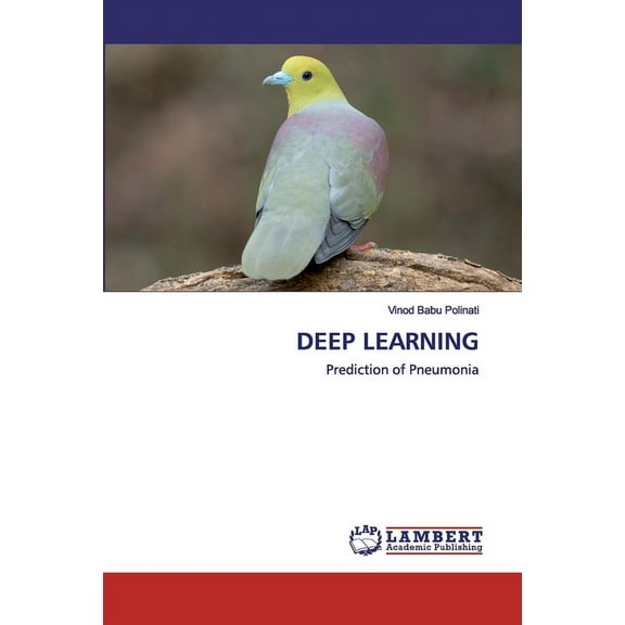 Deep Learning (Paperback)