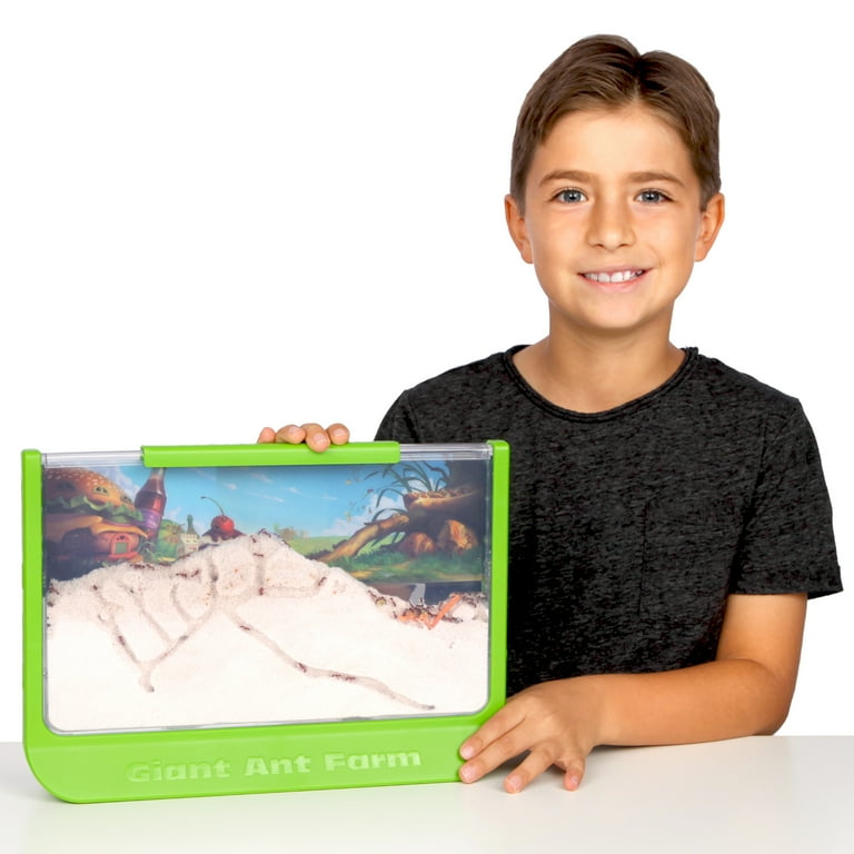 Uncle Milton Giant Ant Farm - STEM Toy, Viewing Area for Live Ants