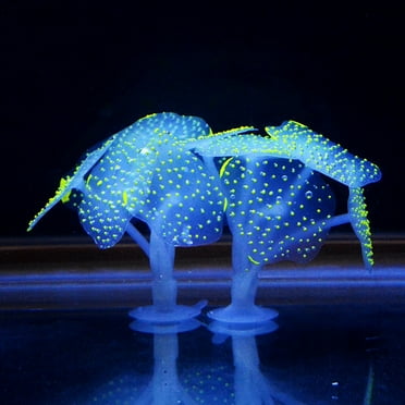 Visland Aquarium Fish Tank Decorations Accessories Decor Set with Wood ...