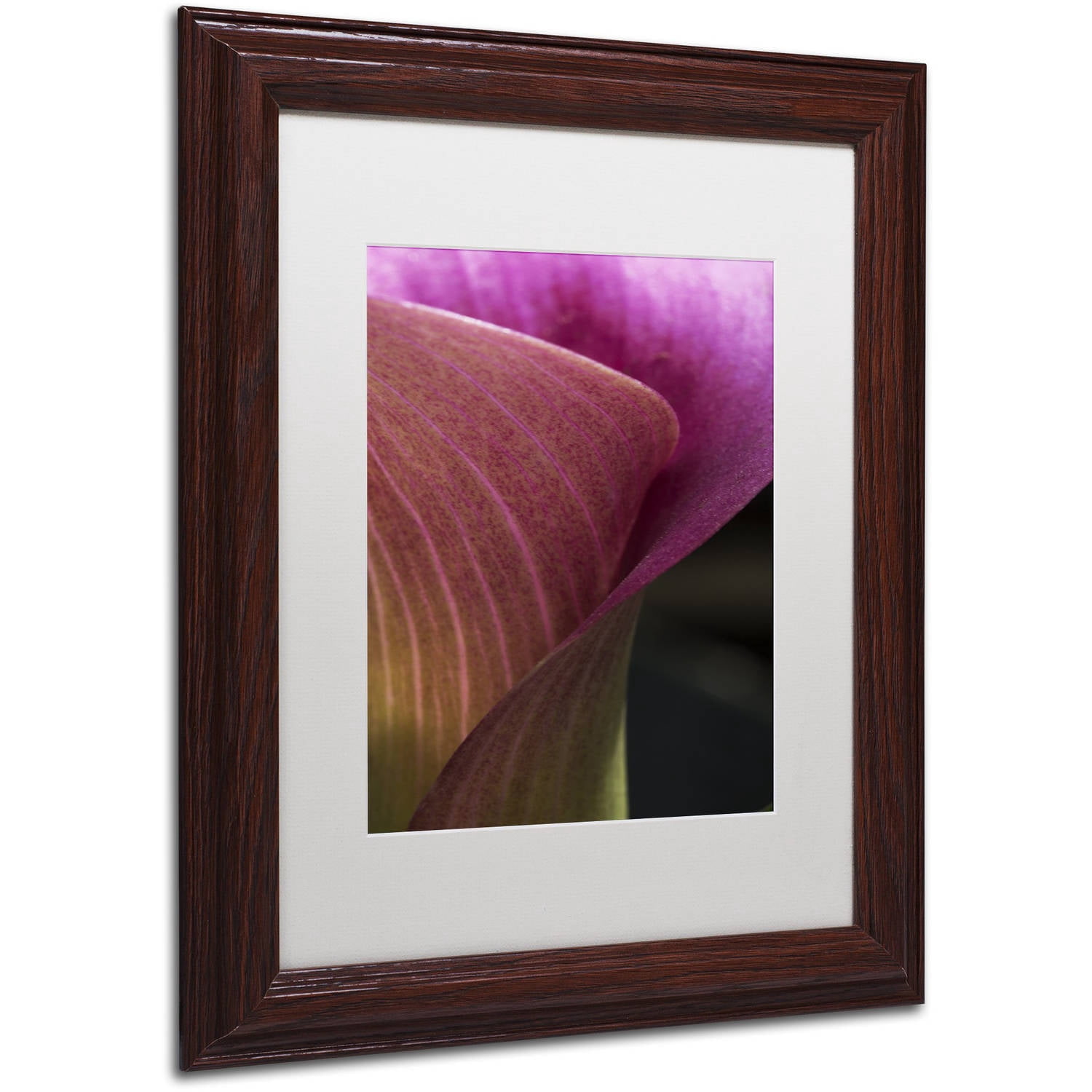 Trademark Fine Art "Part of a Calla Lily" Canvas Art by Kurt Shaffer, White Matte, Wood Frame