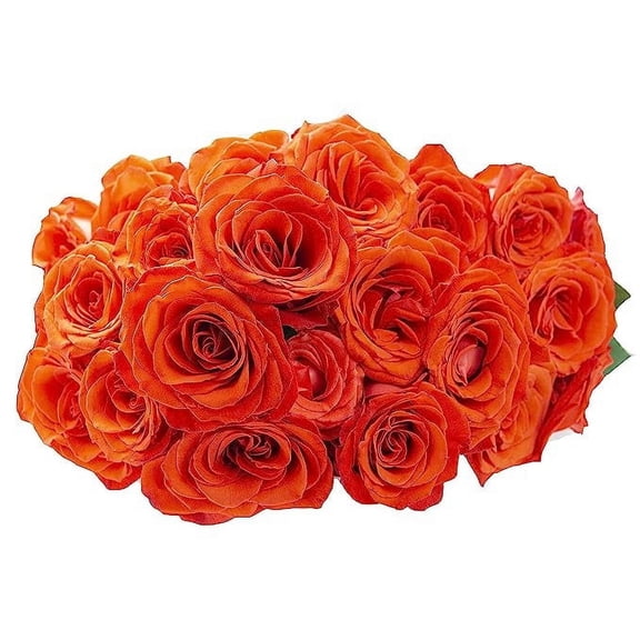 KaBloom : 24 Orange Rose, Next-Day Delivery, Gift for Every Occasion.