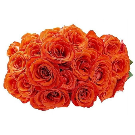 KaBloom : 24 Orange Rose Next-Day Delivery Gift for Every Occasion.