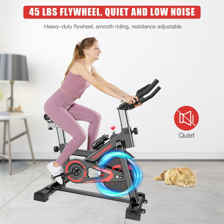 Famistar Exercise Bike Indoor Cycling Stationary Bike with 45Lbs Flywheel LCD Display Adjustable Seat and Handlebars Smooth Quiet Belt for Home