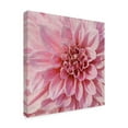 thumbnail image 2 of Trademark Fine Art 'Wall Flower VII' Canvas Art by Alonzo Saunders, 2 of 4