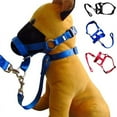 thumbnail image 4 of Maynos Nylon Dog Training Head Collar No Pull, Head Harness Stops Dog Pulling with Head Leash, 4 of 8