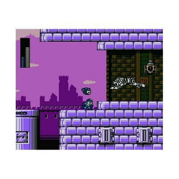 Mega Man Battle Network 5 Team Colonel - Game Boy Advance