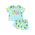 thumbnail image 1 of Kids Boys Swim Trunks Set Letter Pineapple Print Short Sleeve T-shirt and Shorts Two Piece Swimwear, 1 of 9