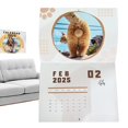 thumbnail image 5 of Clearance Desk Calendar 2025,12 Monthly Wall Calendar Assorted Patterns, Easy To Hang, 5 of 5