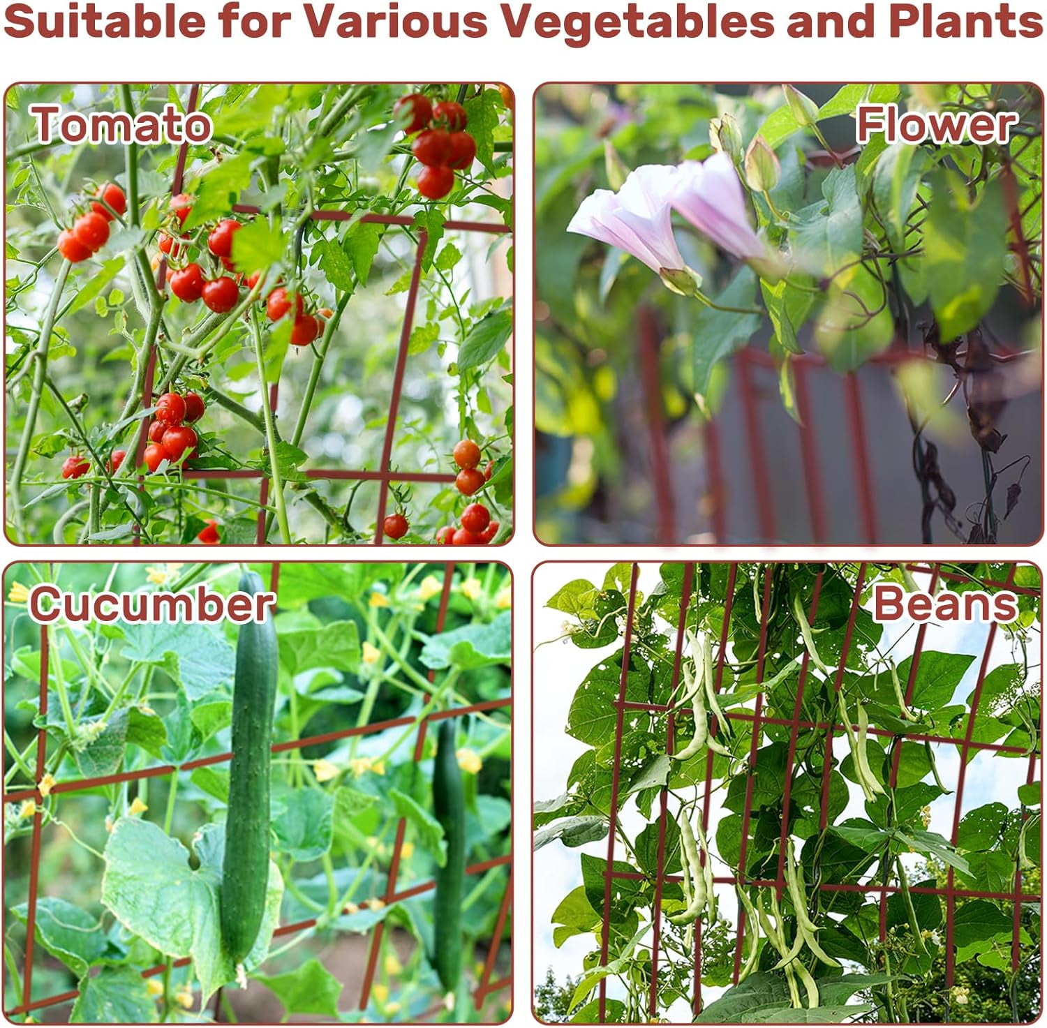 Cucumber Trellis, 48" High Foldable A Frame Garden Trellis, 2 Pack, Plant Support for Climbing Cucumber, Beans, Tomatoes, Flowers, Red