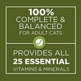 thumbnail image 4 of Purina Cat Chow Naturals Dry Indoor Cat Food, Chicken 3.15 lb (Pack of 6), 4 of 7