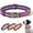 Purple, variant on Didog Personalized Nylon Dog Collar Engraved Brass Buckle with Name and Phone S M L