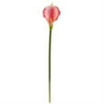 thumbnail image 4 of Nearly Natural 38in. Autumn Maple Leaf Berry Artificial Swag, 4 of 5
