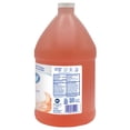 thumbnail image 2 of Dial Professional Antibacterial Foaming Hand Wash Refill, Plus Aloe, Original Scent, 1 gal, 4/Carton, 2 of 6