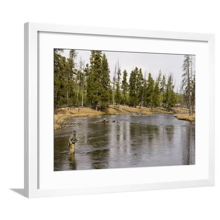 Fly Fishing, Firehole River, Yellowstone National Park, UNESCO World Heritage Site, Wyoming, USA Framed Print Wall Art By Pitamitz