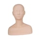 thumbnail image 1 of Cabeza de maniquí para entrenamiento de prácticas Cabeza de maniquí para entrenamiento de prácticas Modelo de belleza para gestión de prácticas para estilo A, 1 of 8
