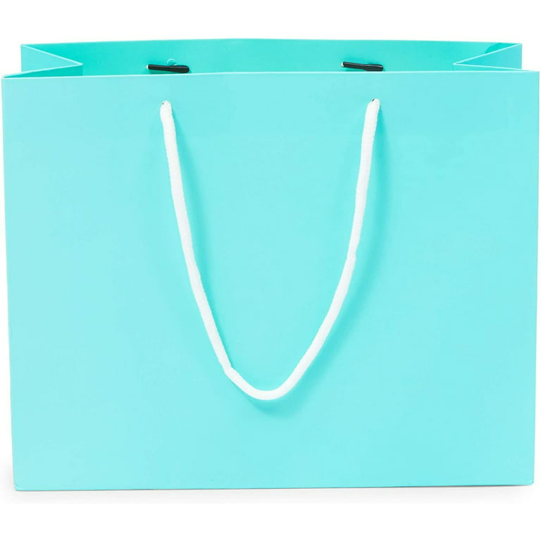 20 Pack Medium Teal Blue Party Favor Paper Gift Bags with Handles for Small  Business, Birthday Supplies Decorations, 10 x 8 x 4 in. 