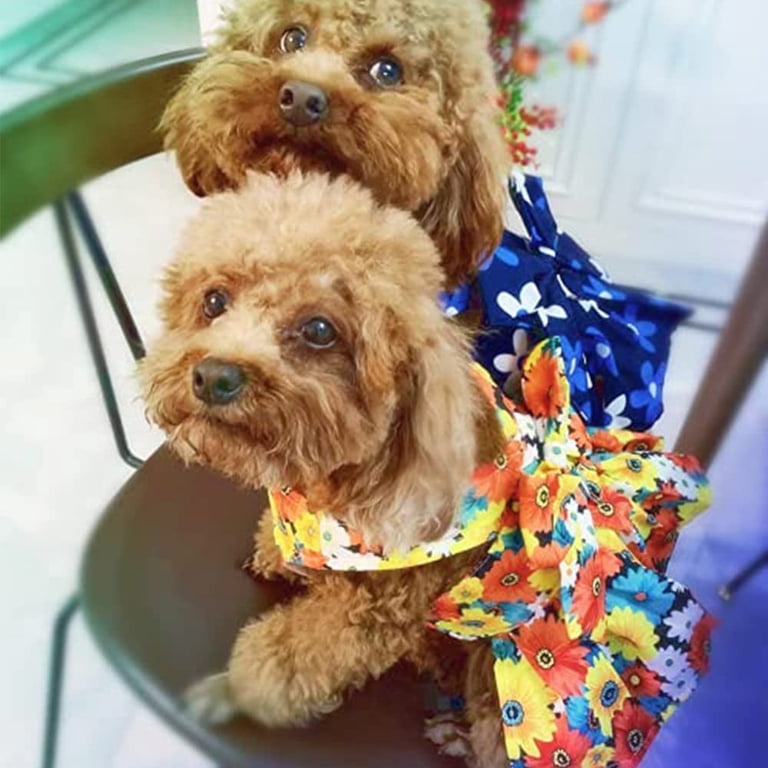 Cute Dog Harness Dress and Leash Set Blue Floral Bowknot Princess Puppy  Vest Harness with D Ring Soft Mesh Outdoor Easy Walk Pet Clothes for Small  ...