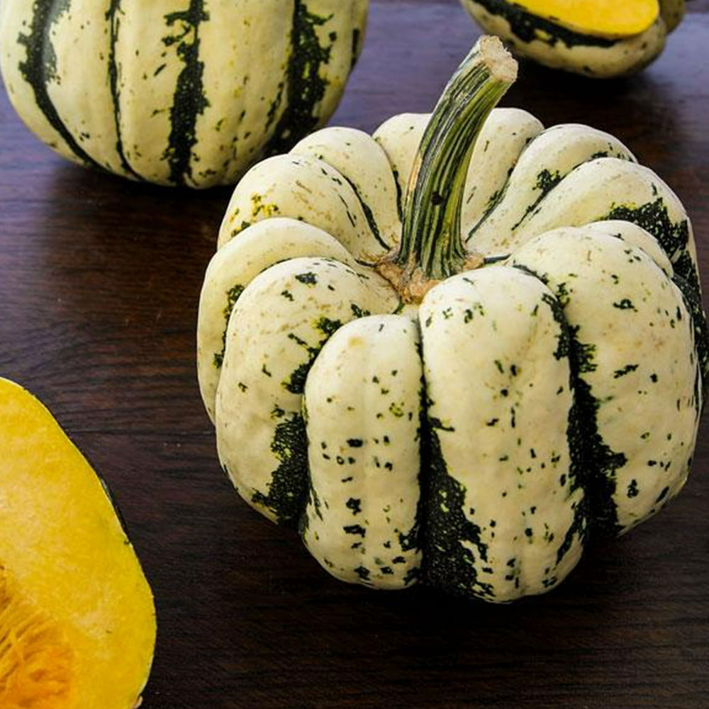 Sweet Dumpling Squash Seeds 4 g 20 Seeds Heirloom, Open Pollinated
