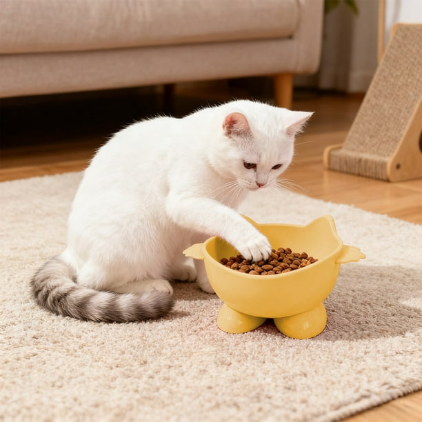 Ireezec Elevated Cat Food and Water Bowl, Anti-Vomit Slow Feeder, Tilted Design for Neck Support, Whisker Friendly Wide Shallow Dish, Non-Slip Ba, Large Capacity Pet Feeding Station