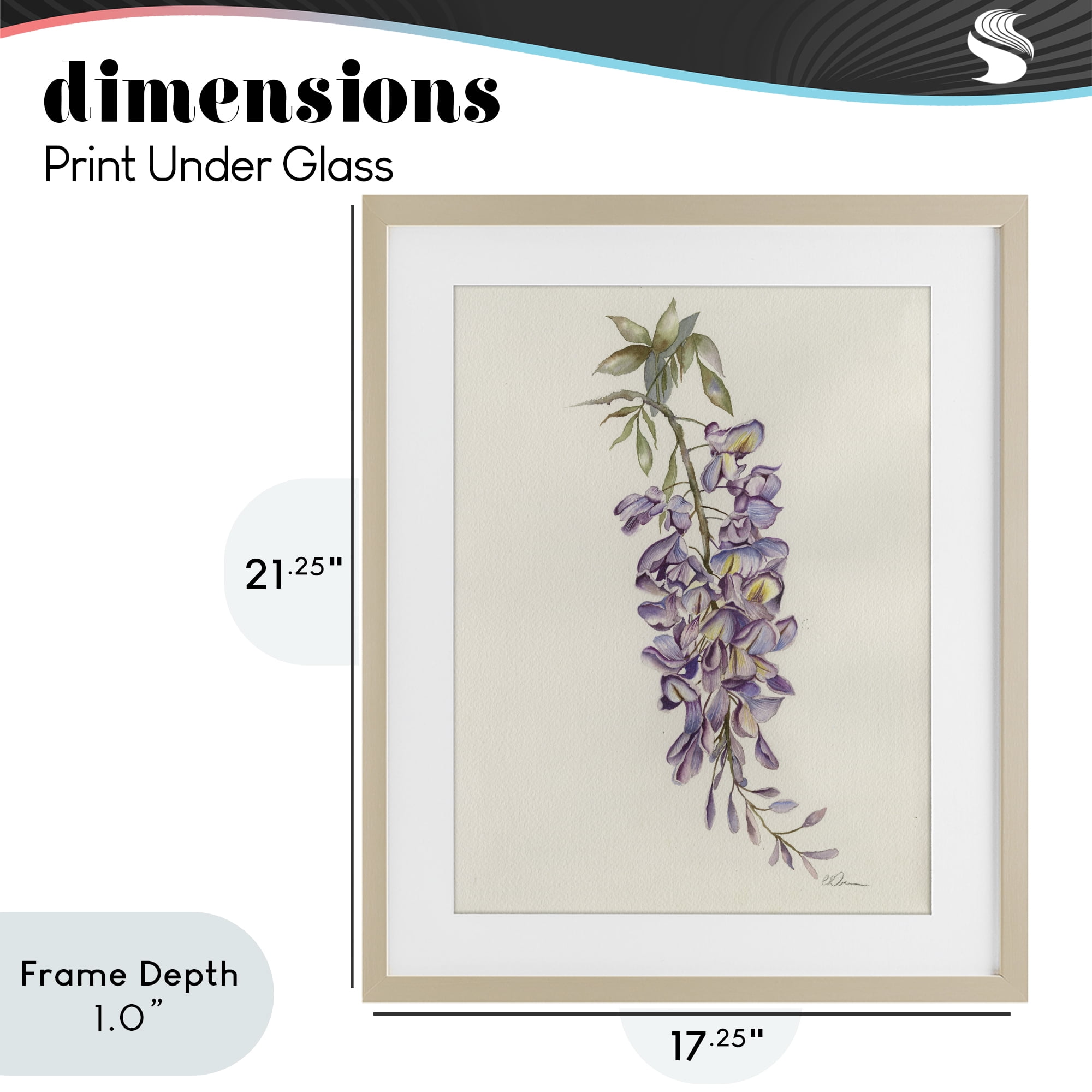 Stupell Industries Delicate Hyacinths Study Birch Framed Print Under Glass, design by Cady Driver